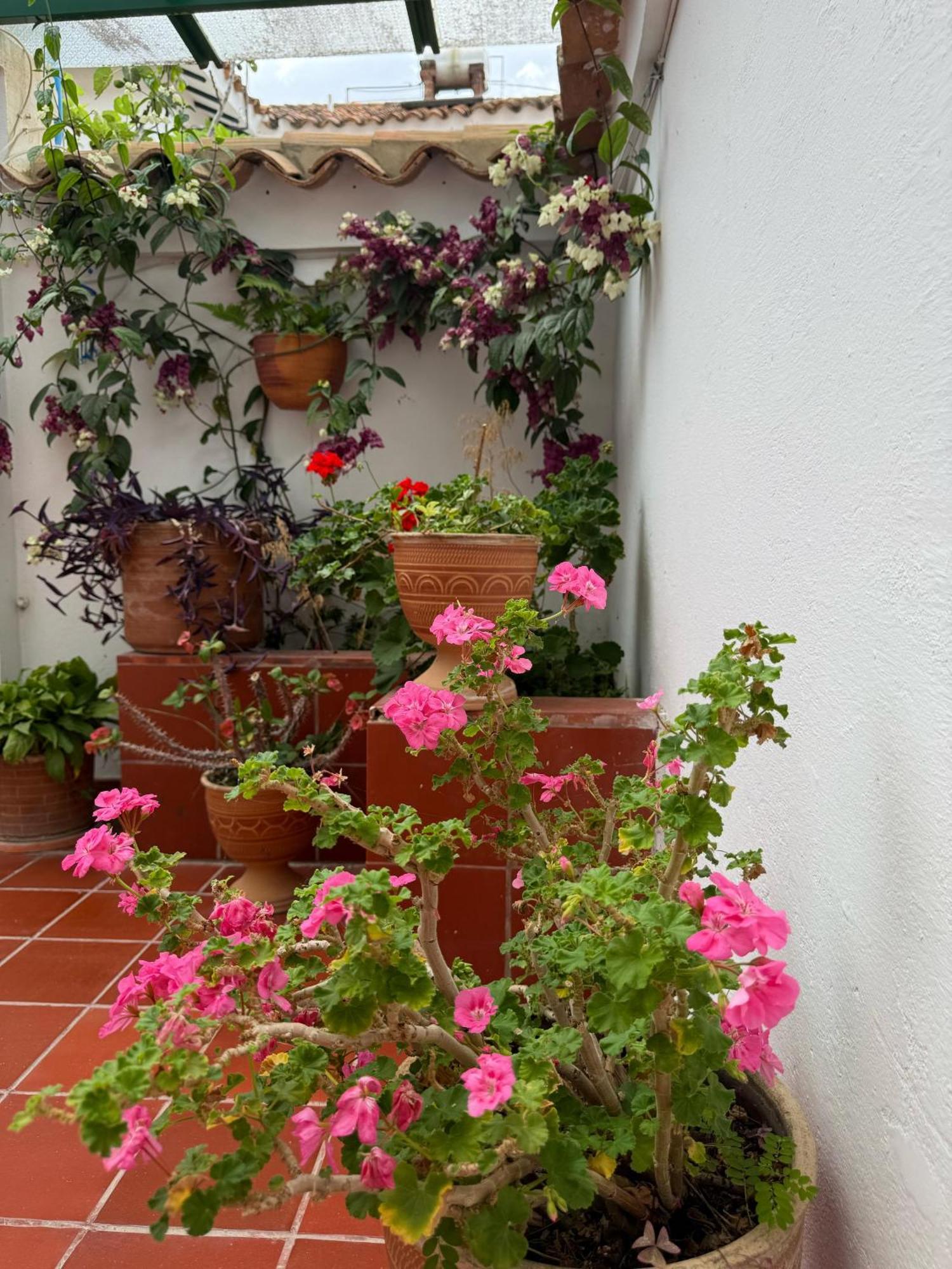 Carmen Villa de Leyva